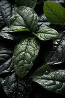 a group of green leaves with water droplets on them generative ai photo
