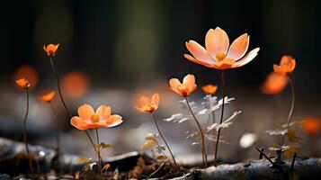 a group of orange flowers in the forest generative ai photo