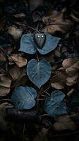 a heart shaped stone is sitting on the ground next to some leaves generative ai photo