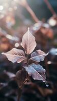a leaf with water droplets on it in the sunlight generative ai photo
