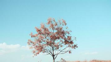 un solitario árbol en el medio de un campo generativo ai foto