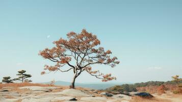 un solitario árbol soportes en parte superior de un rocoso colina generativo ai foto