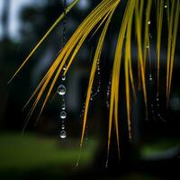 a palm tree with water droplets hanging from it generative ai photo