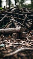 a pile of sticks on the ground in the woods generative ai photo