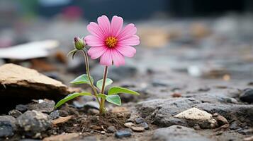 a pink flower is growing out of the ground generative ai photo