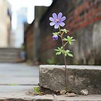 a purple flower growing out of the side of a concrete wall generative ai photo