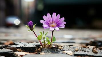 a purple flower growing out of a crack in the pavement generative ai photo