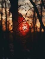 un rojo bolso colgando desde un árbol en el bosque generativo ai foto