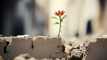 a red flower growing out of a crack in the ground generative ai photo