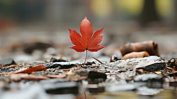 a red maple leaf sits on the ground in a puddle of water generative ai photo