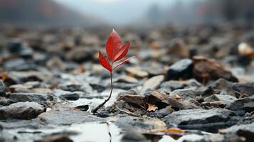 a red leaf sprouts from the ground in a puddle of water generative ai photo