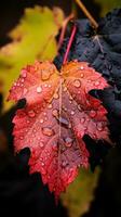 a red leaf with water droplets on it generative ai photo