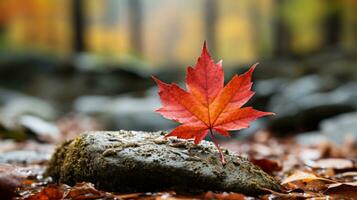 a red maple leaf sits on top of a rock in the middle of a forest generative ai photo