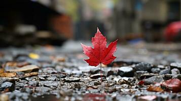 a red maple leaf sits on the ground in a puddle generative ai photo