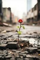 a red rose growing out of a crack in the pavement generative ai photo