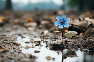 a single blue flower growing in a puddle of water generative ai photo