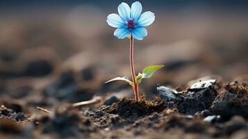 a single blue flower is growing out of the ground generative ai photo