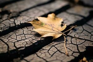 a single leaf lies on the ground in a crack in the ground generative ai photo