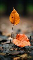 a single leaf is sitting on the ground with water droplets on it generative ai photo