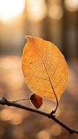 a single leaf sits on a branch in front of the sun generative ai photo