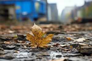 a single leaf sits on the ground in the middle of a muddy area generative ai photo