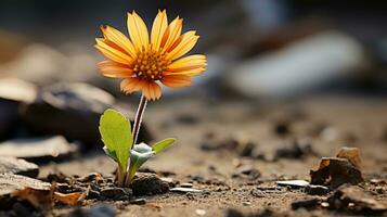 un soltero naranja flor es creciente fuera de el suelo generativo ai foto