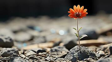 un soltero naranja flor es creciente fuera de el suelo generativo ai foto