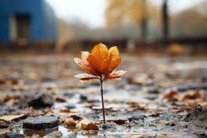 a single orange leaf is growing out of the ground in the middle of a mud puddle generative ai photo