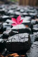 a single red leaf sits on top of some rocks generative ai photo