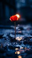 a single red rose growing out of the ground in the dark generative ai photo