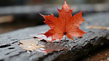 a single red maple leaf sits on top of a piece of wood generative ai photo