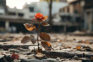 un soltero rojo Rosa creciente fuera de el escombros de un antiguo edificio generativo ai foto