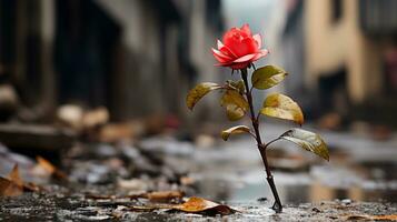 un soltero rojo Rosa es en pie en el medio de un charco generativo ai foto