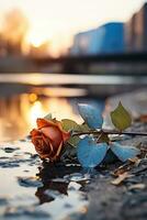 a single rose laying on the ground next to a body of water generative ai photo