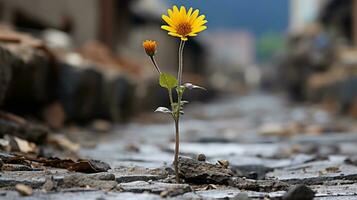 a single yellow flower is growing out of a crack in the ground generative ai photo