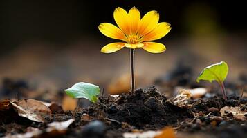 a single yellow flower is growing out of the ground generative ai photo