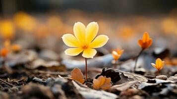 a single yellow flower is standing out in the middle of a field generative ai photo