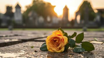 un soltero amarillo Rosa tendido en el suelo en frente de un cementerio generativo ai foto