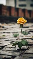 un soltero amarillo Rosa creciente fuera de el suelo en un guijarro calle generativo ai foto