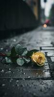 un soltero amarillo Rosa tendido en el suelo en el lluvia generativo ai foto