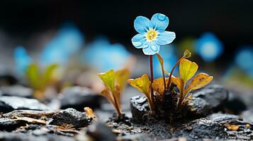 a small blue flower is growing out of the ground generative ai photo