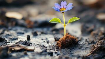 a small blue flower growing out of the ground generative ai photo