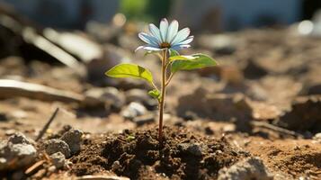 a small blue flower is growing out of the ground generative ai photo