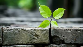 a small green plant is growing out of a crack in a brick wall generative ai photo