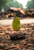 a small green leaf is growing out of the ground in front of a pile of rubble generative ai photo