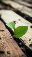 a small green plant is growing on a wooden floor generative ai photo