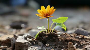 a small orange flower is growing out of the ground generative ai photo
