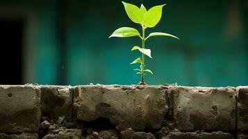 un pequeño planta creciente fuera de un ladrillo pared generativo ai foto