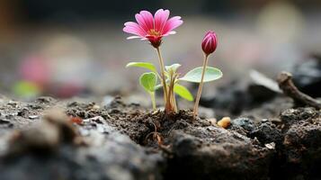 un pequeño rosado flor es creciente fuera de el suelo generativo ai foto