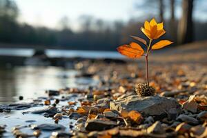 a small plant is growing out of a rock by the water generative ai photo